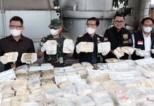 Jastip Lebihi Kapasitas, Bea Cukai Musnahkan Milk Bun Asal Thailand