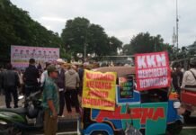 PUISI seorang DEMONSTRAN