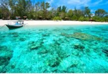 Aku Kehilangan Indonesia