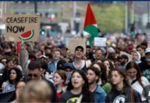 Protes pro-Palestina Mengguncang Kampus-Kampus dari Washington hingga Amsterdam