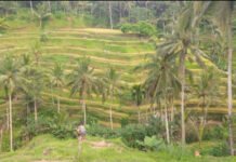 Revolusi Kembali Menjadi Bangsa Indonesia : ‘Lumbung’ Sebagai Upaya Membangun Bangsa Dan Negara