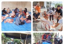 Iedul Adha 1445 H, Semangat Tetap Menyala di Yogya