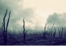 Tinggalkan Demokrasi, Kembali Pada Musyawarah