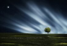 PUISI-PUISI AFNAN MALAY