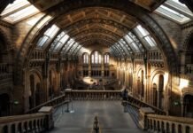 PUISI-PUISI AFRIZAL MALNA