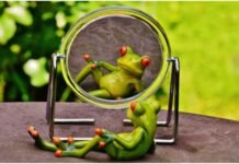 Diri Kita itu adalah Cermin