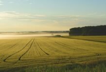 Tanah Untuk Rakyat versus Tanah Untuk Cukong