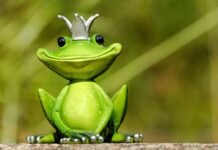 Fufufafa dan Skenario Allah