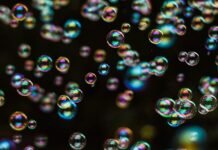 Antara Tesis Lord Acton, Pasal 6a Ayat (2) UUD NRI 1945, dan Teori Darwin