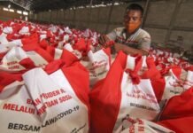 Menyederhanakan Pembagian Beras Sebagai Sumber Inflasi, Simplifikasi Fatal dalam Analisis Makroekonomi