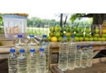 Sopi, Nilai Ekonomi, Budaya dan Toleransi