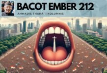 Bacot Ember vs 212