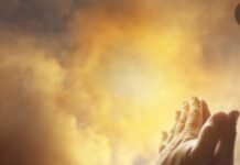 Tujuh Belas Jurus Sederhana