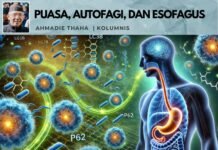 Puasa, Autofagi, dan Esofagus