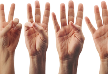 Van Ons alias Perhimpunan Menemukan Kembali Indonesia adalah Independen