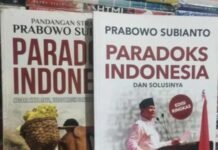 Strategi Presiden Prabowo Subianto Membangun Dalam Paradoks Indonesia Yang Mencemaskan