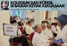 Kolegium dan Konsil di Bawah Ketiak Kekuasaan