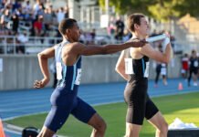 Nasib Dinasti Politik Jokowi