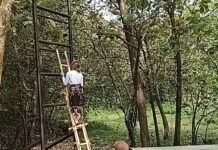 Untung Saya Terus Terjaga