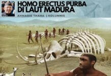 Homo Erectus Purba di Laut Madura
