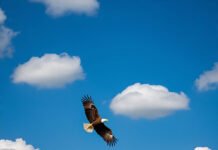 Air Manis Terasa Asin