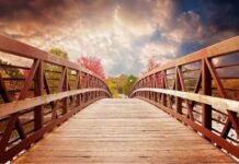 Dari Ekonomi Pancasila ke Ekonomi Predatoris (Sebuah Kritik terhadap Kecenderungan Arah Ekonomi Indonesia)