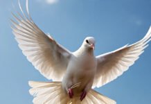 Dunia Akan Baik-Baik Saja