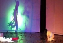 Kemerdekaan: Kesaksian Seorang Penyair