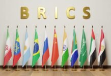 Tumbangnya Sri Mulyani: Ketika Poros Dunia Bergeser dari IMF ke BRICs