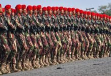 TNI Pejuang Demokrasi