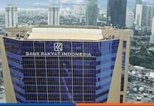 Andai Bank BRI Jadi Bank Koperasi Seperti Desjardins Bank