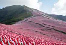 Belajar dari Imam Aziz, Kepahlawanan Sebagai Kenosis