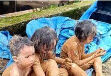 Hilirisasi Kayu Gelondongan