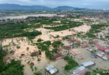 FINE Institute: Semua Indikator Penetapan Bencana Nasional di Sumatra Terpenuhi