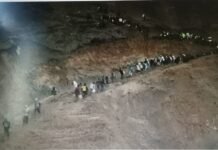 Kopi Sanger Gayo dan Kesengsaraan Rakyat Aceh