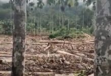 Sajak Ironika Bencana