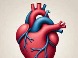 Fakta Mengejutkan dari Darah Orang yang Hidup Panjang Umur