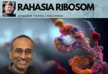 Rahasia Ribosom