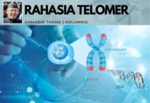 Rahasia Telomer