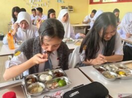 Logika Dangkal BGN: Menutup Lubang Pendidikan dengan Piring Makan
