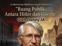 Ruang Publik, Di Antara Hitler dan Goethe