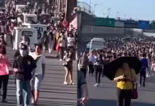 Saatnya Kembali Memasyarakatkan Sepeda*