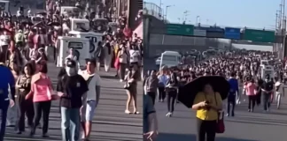 Saatnya Kembali Memasyarakatkan Sepeda*