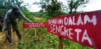 Indonesia Negara Agraris — Ironi Ketimpangan dan Perampasan Tanah