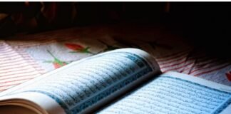 Menemukan Rumah di Tengah Badai: Ketaatan Sebagai Dekapan Sang Khaliq