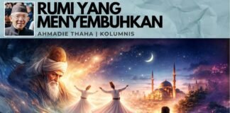Rumi yang Menyembuhkan