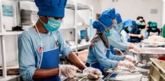 Negara, Sepiring Nasi, dan Rasa Curiga