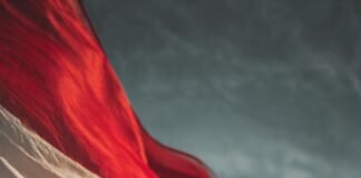 Di Bawah Bendera Revolusi