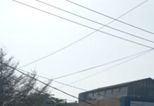 Penyapu Jalan Radial