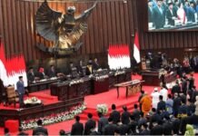 Perlunya Membentuk Dewan Bangsa Indonesia
